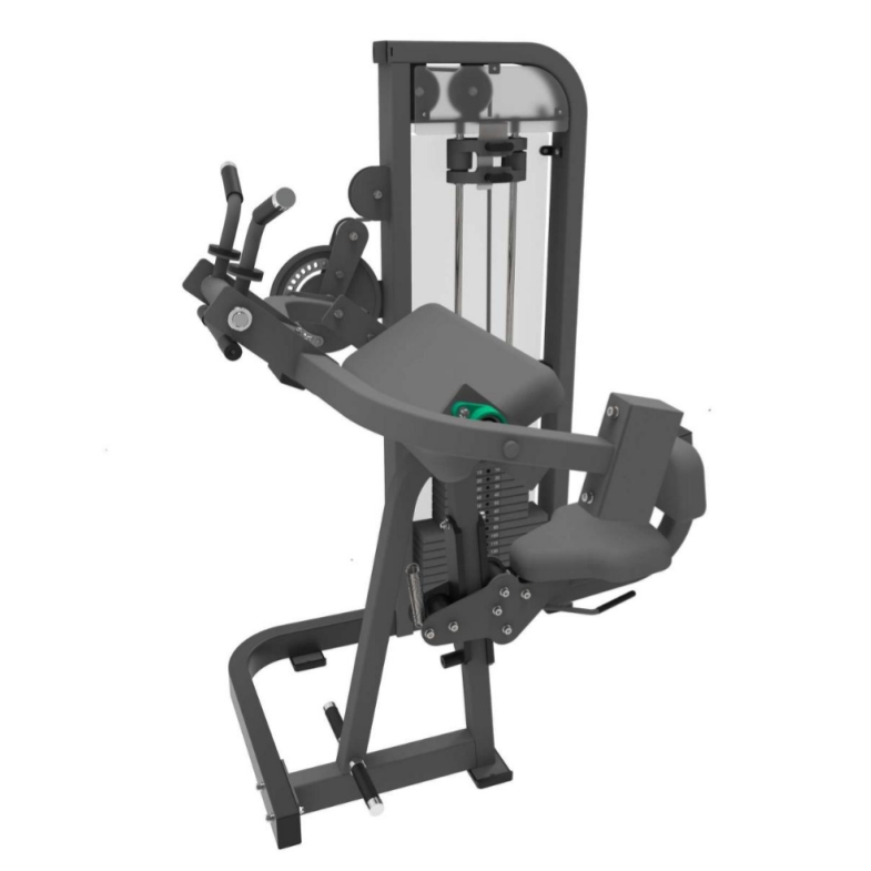 Biceps at triceps