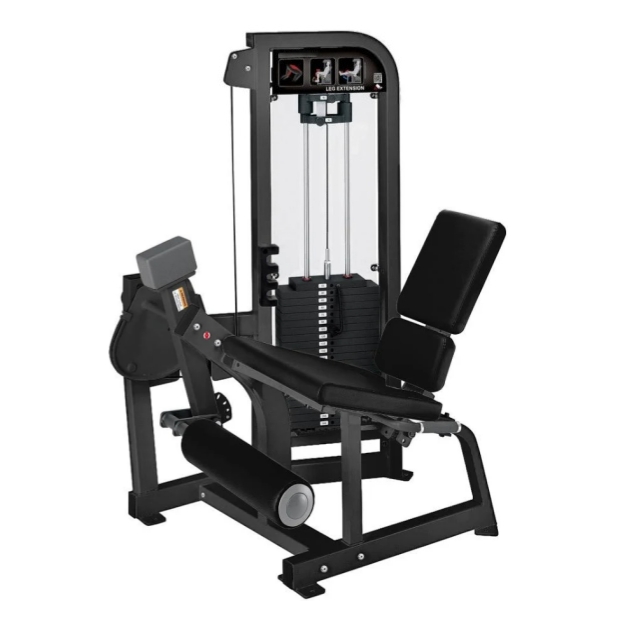 Extension ng binti+Prone Leg Curl